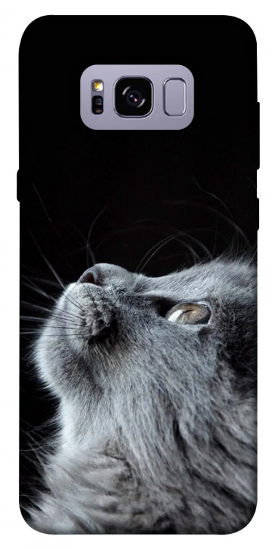 Чохол itsPrint Cute cat для Samsung G955 Galaxy S8 Plus, тварини, купити оптом з доставкою
