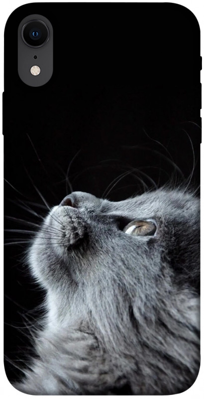 Чехол itsPrint Cute cat для Apple iPhone XR (6.1"), животные, купить оптом с доставкой