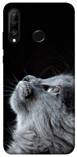 Чохол itsPrint Cute cat для Huawei P30 lite