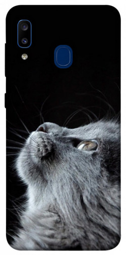 Чохол itsPrint Cute cat для Samsung Galaxy A20 / A30