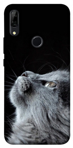 Чохол itsPrint Cute cat для Huawei P Smart Z