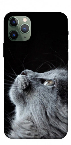 Чехол itsPrint Cute cat для Apple iPhone 11 Pro (5.8")