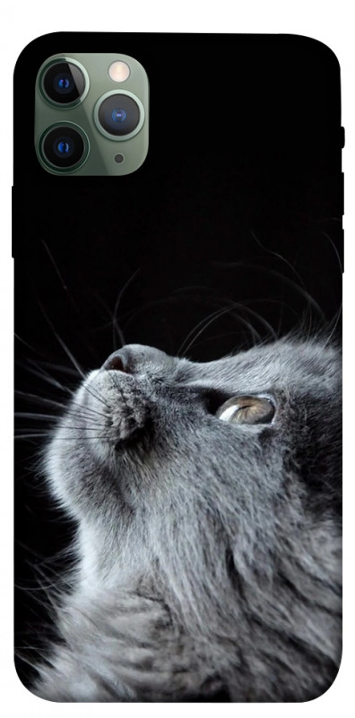 Чехол itsPrint Cute cat для Apple iPhone 11 Pro Max (6.5"), животные, купить оптом с доставкой