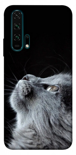 Чехол itsPrint Cute cat для Huawei Honor 20 Pro