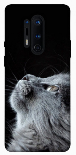 Чехол itsPrint Cute cat для OnePlus 8 Pro