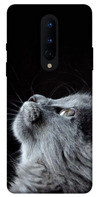Чохол itsPrint Cute cat для OnePlus 8, тварини, купити оптом з доставкою