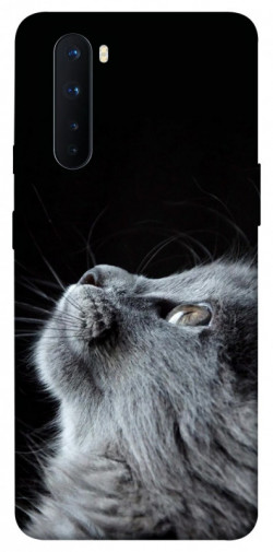 Чохол itsPrint Cute cat для OnePlus Nord