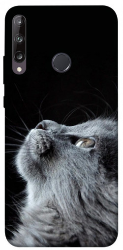 Чехол itsPrint Cute cat для Huawei P40 Lite E / Y7p (2020)