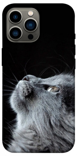 Чехол itsPrint Cute cat для Apple iPhone 12 Pro Max (6.7")