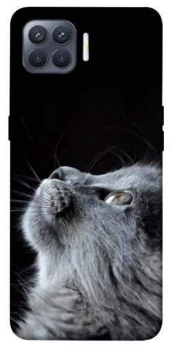 Чехол itsPrint Cute cat для Oppo Reno 4 Lite