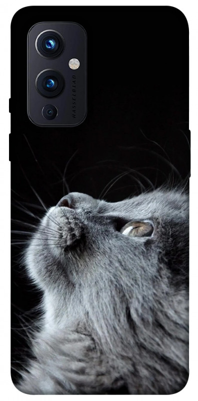 Чехол itsPrint Cute cat для OnePlus 9, животные, купить оптом с доставкой