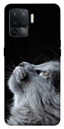 Чехол itsPrint Cute cat для Oppo Reno 5 Lite