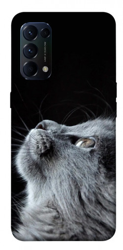 Чехол itsPrint Cute cat для Oppo Reno 5 4G