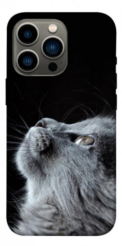 Чехол itsPrint Cute cat для Apple iPhone 13 Pro (6.1")