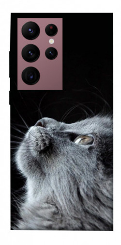 Чохол itsPrint Cute cat для Samsung Galaxy S22 Ultra