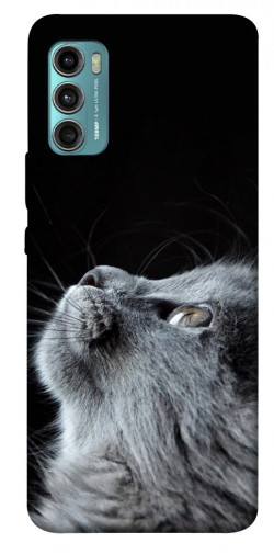 Чохол itsPrint Cute cat для Motorola Moto G60