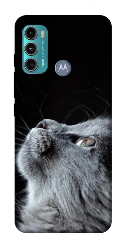 Чохол itsPrint Cute cat для Motorola Moto G60, тварини, купити оптом з доставкою
