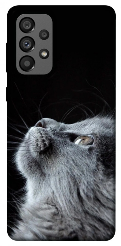 Чехол itsPrint Cute cat для Samsung Galaxy A73 5G, животные, купить оптом с доставкой