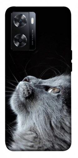 Чехол itsPrint Cute cat для OnePlus Nord N20 SE