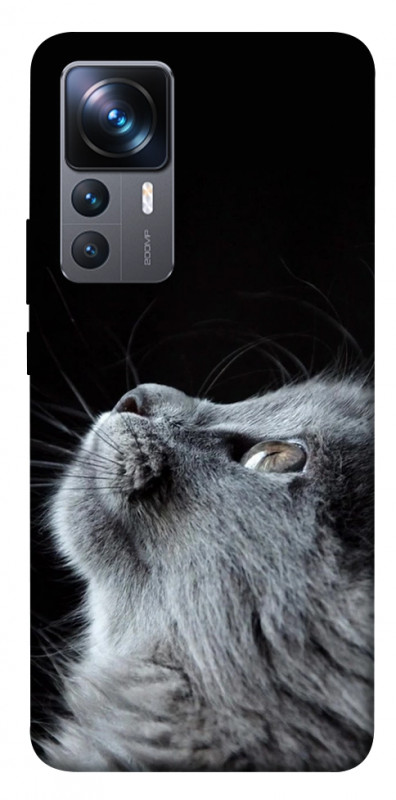 Чехол itsPrint Cute cat для Xiaomi 12T / 12T Pro, животные, купить оптом с доставкой