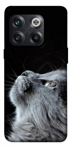 Чехол itsPrint Cute cat для OnePlus 10T