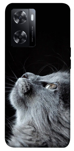 Чохол itsPrint Cute cat для Oppo A57s