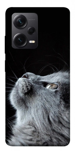 Чехол itsPrint Cute cat для Xiaomi Redmi Note 12 Pro+ 5G