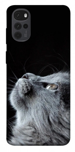Чехол itsPrint Cute cat для Motorola Moto G22