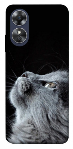 Чехол itsPrint Cute cat для Oppo A17