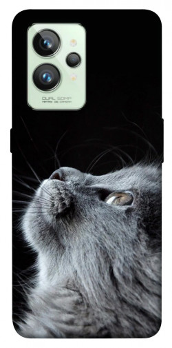 Чохол itsPrint Cute cat для Realme GT2