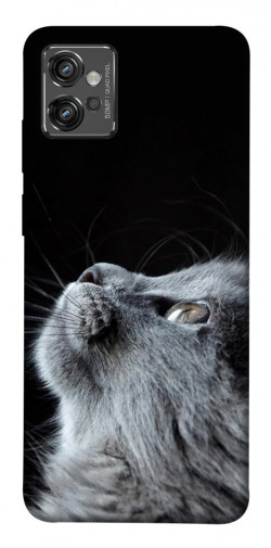 Чохол itsPrint Cute cat для Motorola Moto G32