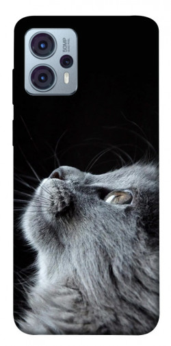 Чохол itsPrint Cute cat для Motorola Moto G23