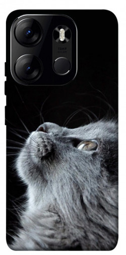 Чехол itsPrint Cute cat для Tecno Spark Go 2023