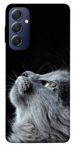 Чохол itsPrint Cute cat для Samsung Galaxy M54 5G