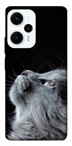Чехол itsPrint Cute cat для Xiaomi Poco F5 Pro