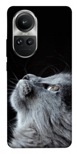 Чохол itsPrint Cute cat для Oppo Reno 10