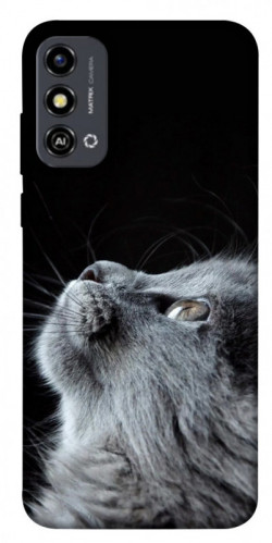 Чохол itsPrint Cute cat для ZTE Blade A53