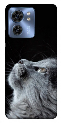 Чохол itsPrint Cute cat для Motorola Edge 40