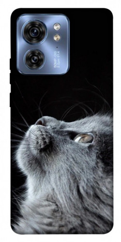Чехол itsPrint Cute cat для Motorola Edge 40
