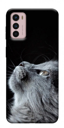 Чехол itsPrint Cute cat для Motorola Moto G42