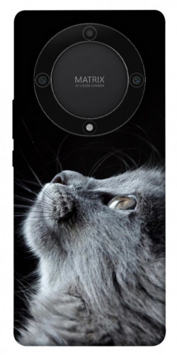 Чехол itsPrint Cute cat для Huawei Magic5 Lite