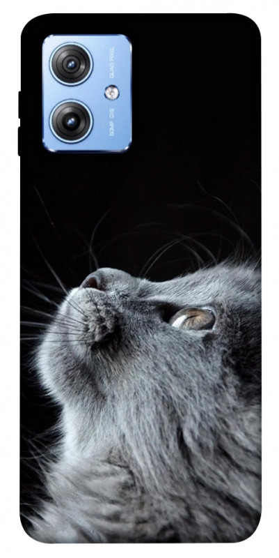 Чохол itsPrint Cute cat для Motorola Moto G84, тварини, купити оптом з доставкою
