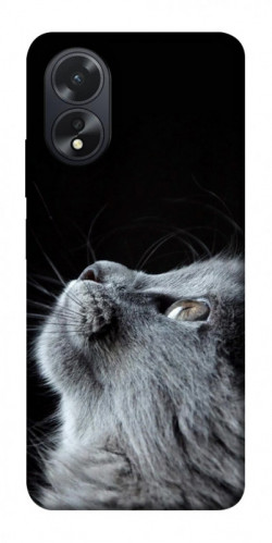 Чохол itsPrint Cute cat для Oppo A38