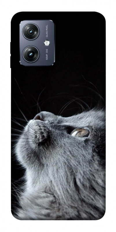 Чехол itsPrint Cute cat для Motorola Moto G54, животные, купить оптом с доставкой