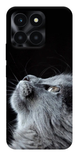 Чехол itsPrint Cute cat для Huawei Honor X6a