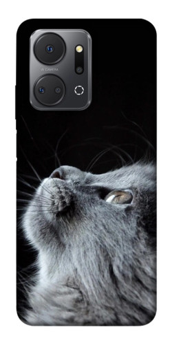 Чехол itsPrint Cute cat для Huawei Honor X7a