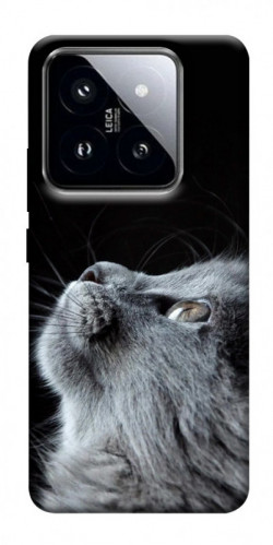 Чохол itsPrint Cute cat для Xiaomi 14 Pro