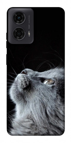 Чехол itsPrint Cute cat для Motorola Moto G24