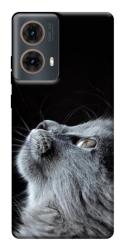 Чехол itsPrint Cute cat для Motorola Moto G85