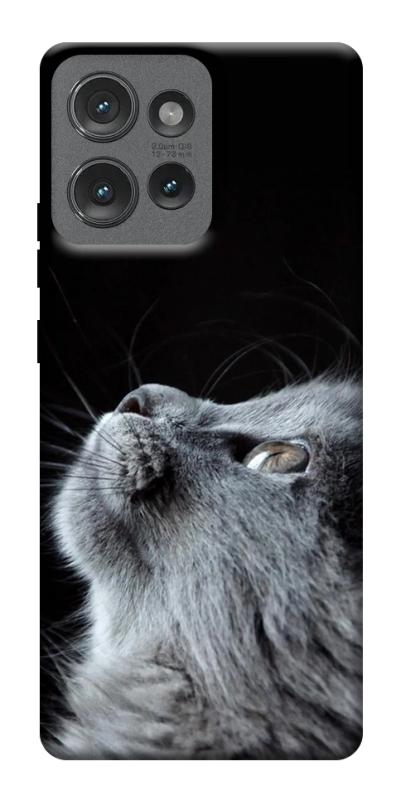 Чехол itsPrint Cute cat для Motorola Edge 50, животные, купить оптом с доставкой